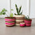 Storage Plant Basket: Rust & Pink
