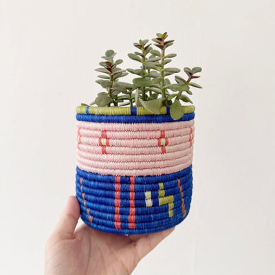 5" Storage Plant Basket: Ibamba - Amsha