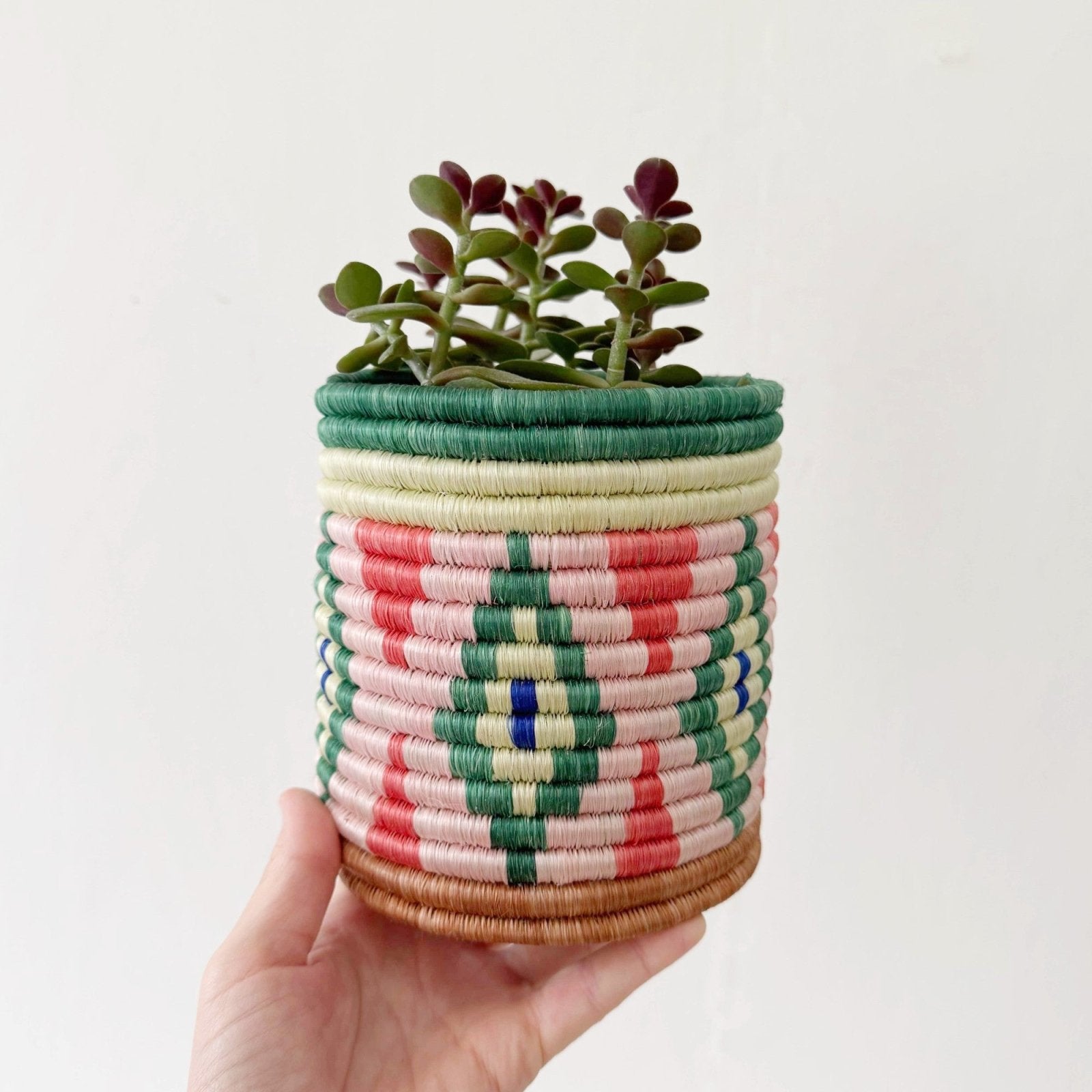 5" Storage Plant Basket: Molele - Amsha