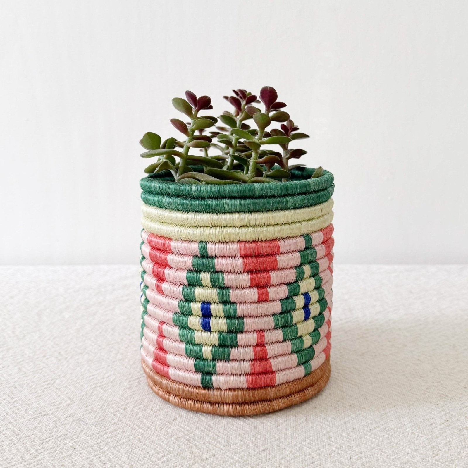 5" Storage Plant Basket: Molele - Amsha