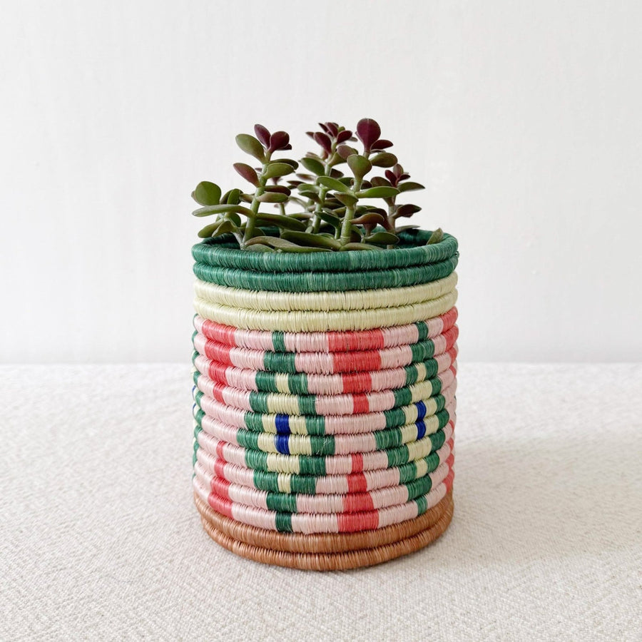 5" Storage Plant Basket: Molele - Amsha
