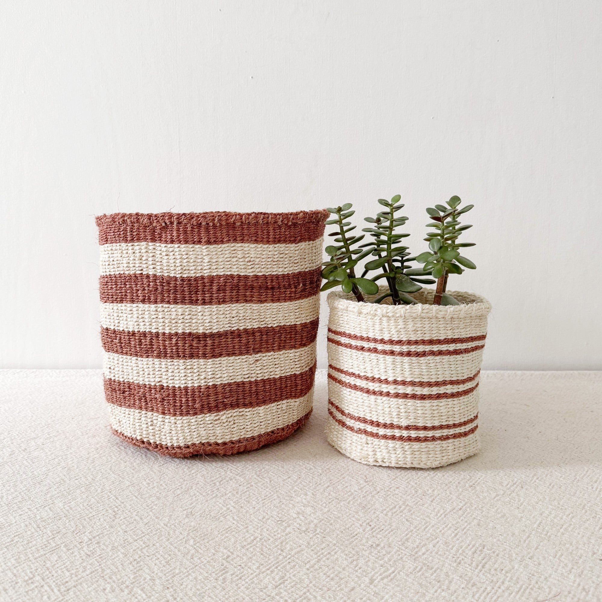 Storage Plant Basket: Earth Stripe