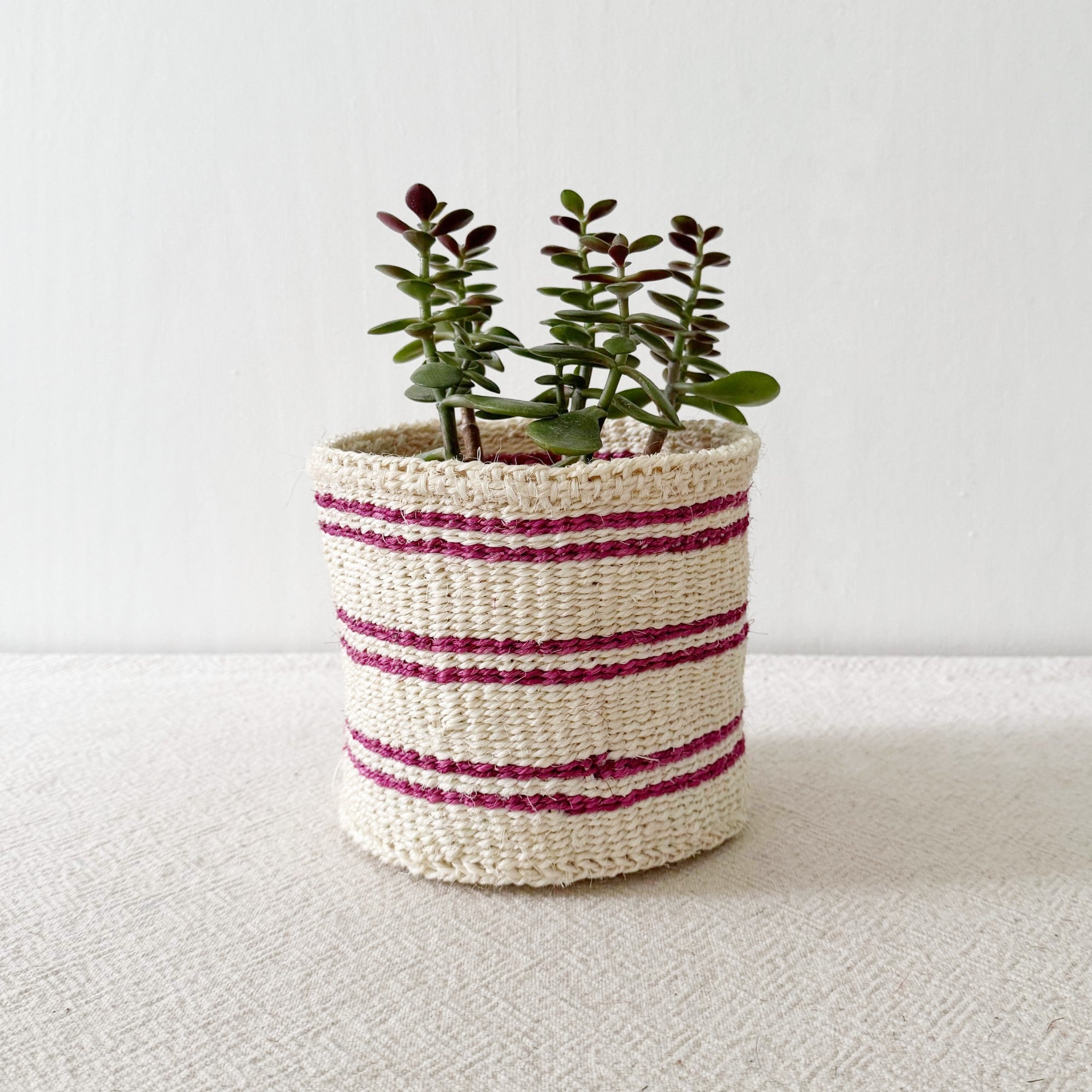 Storage Plant Basket: Berry Stripe