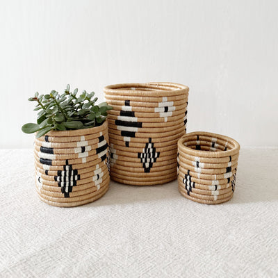 Storage Plant Basket: Teza