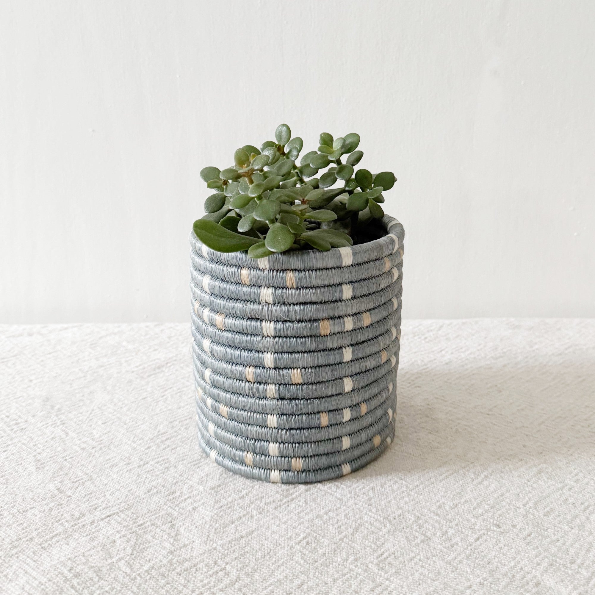 Storage Plant Basket: Biera