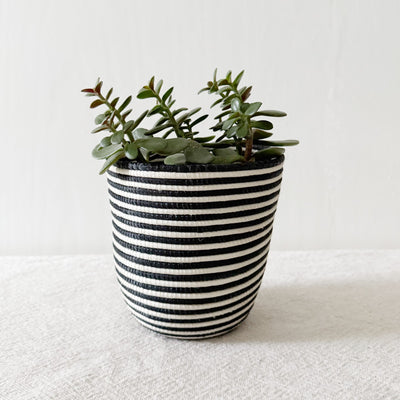 Storage Plant Basket: Lumbwe