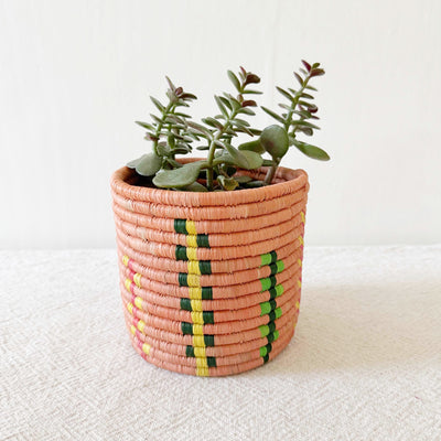 5" Storage Plant Basket: Byungu