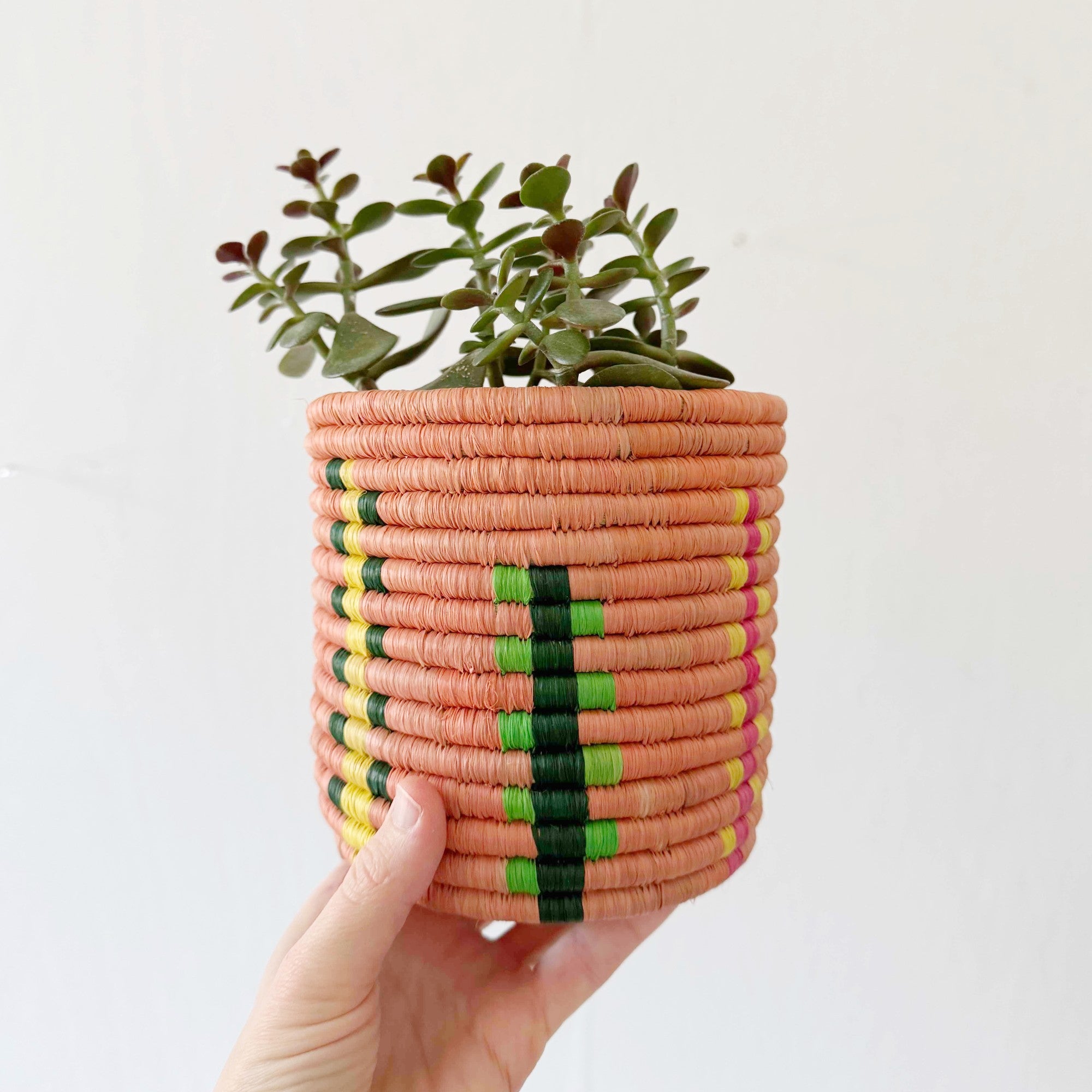 5" Storage Plant Basket: Byungu