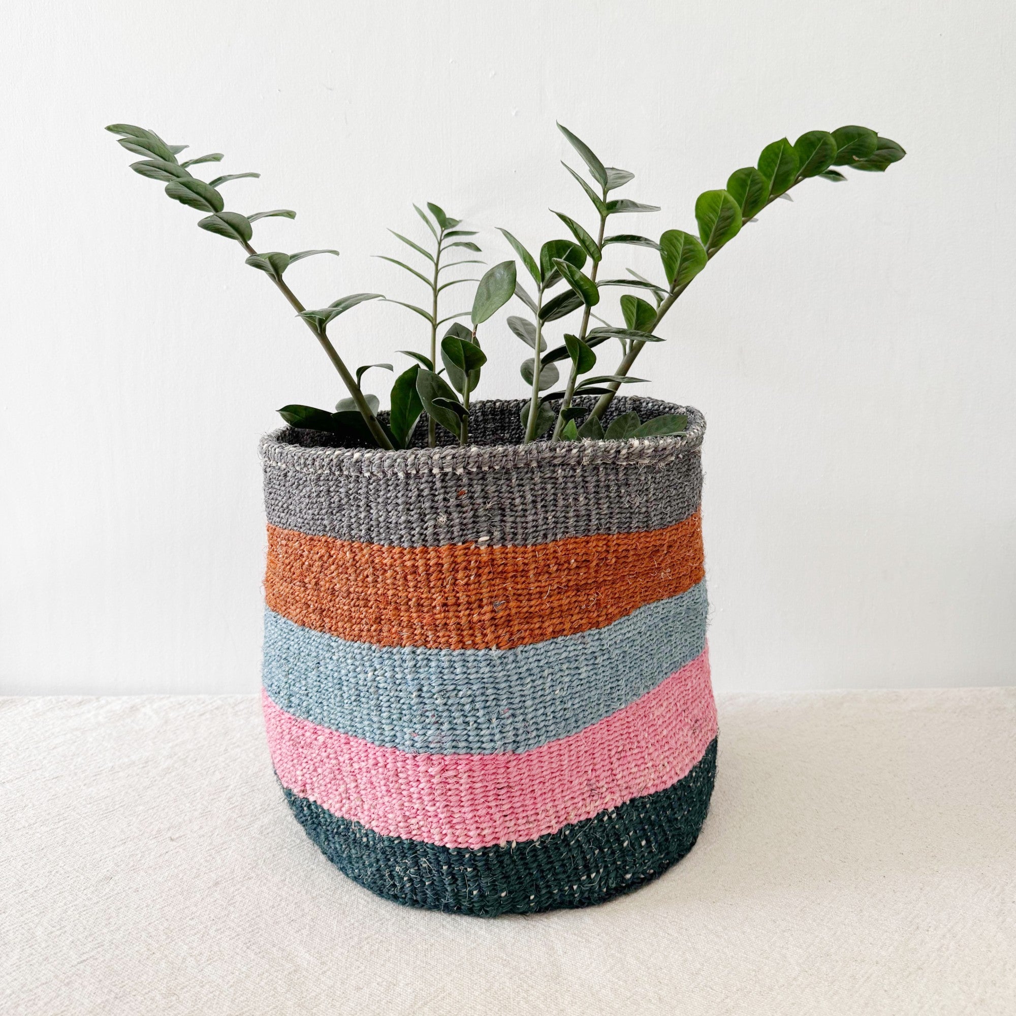 Storage Plant Basket: Appalachian