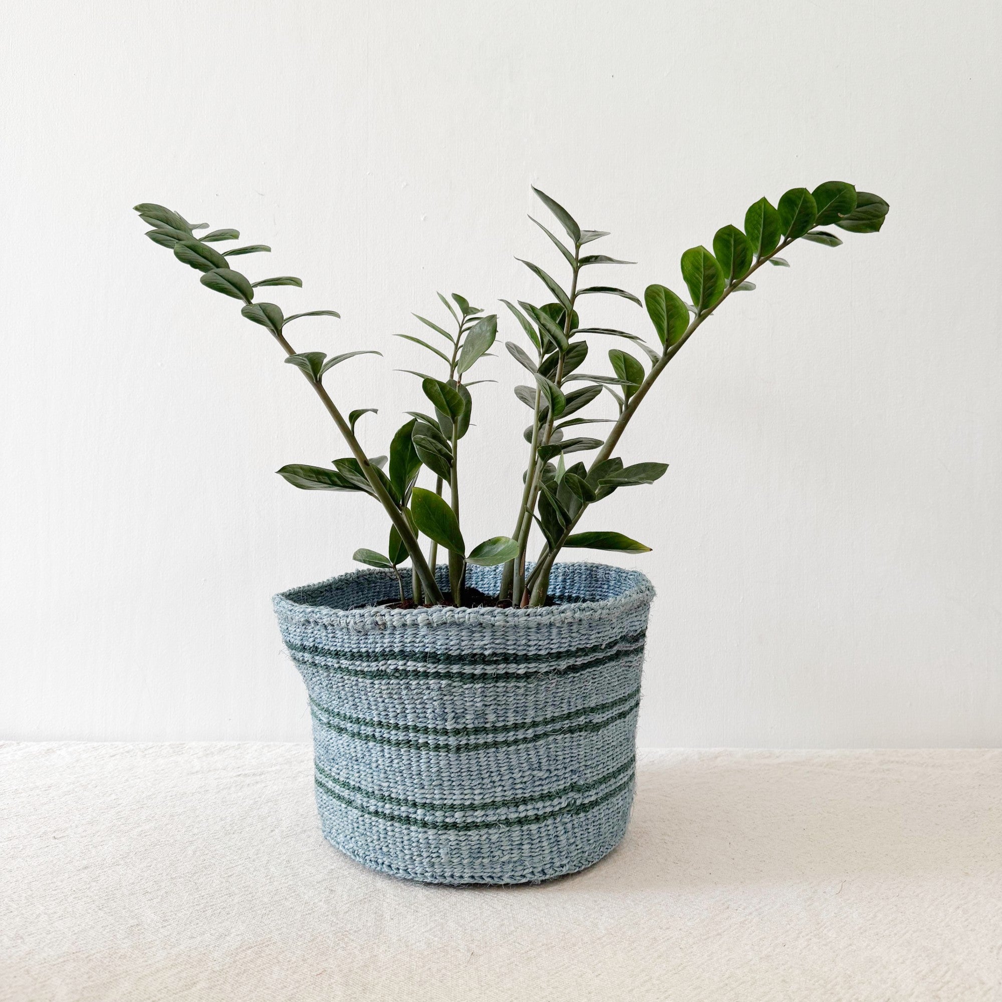 Storage Plant Basket: Appalachian