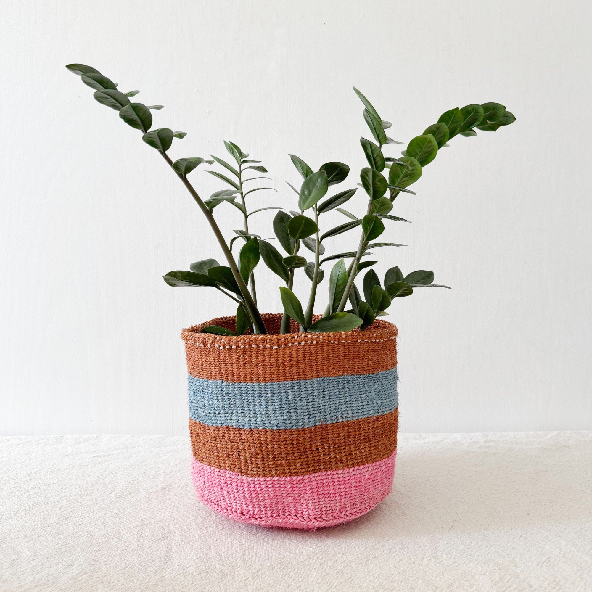 Storage Plant Basket: Appalachian