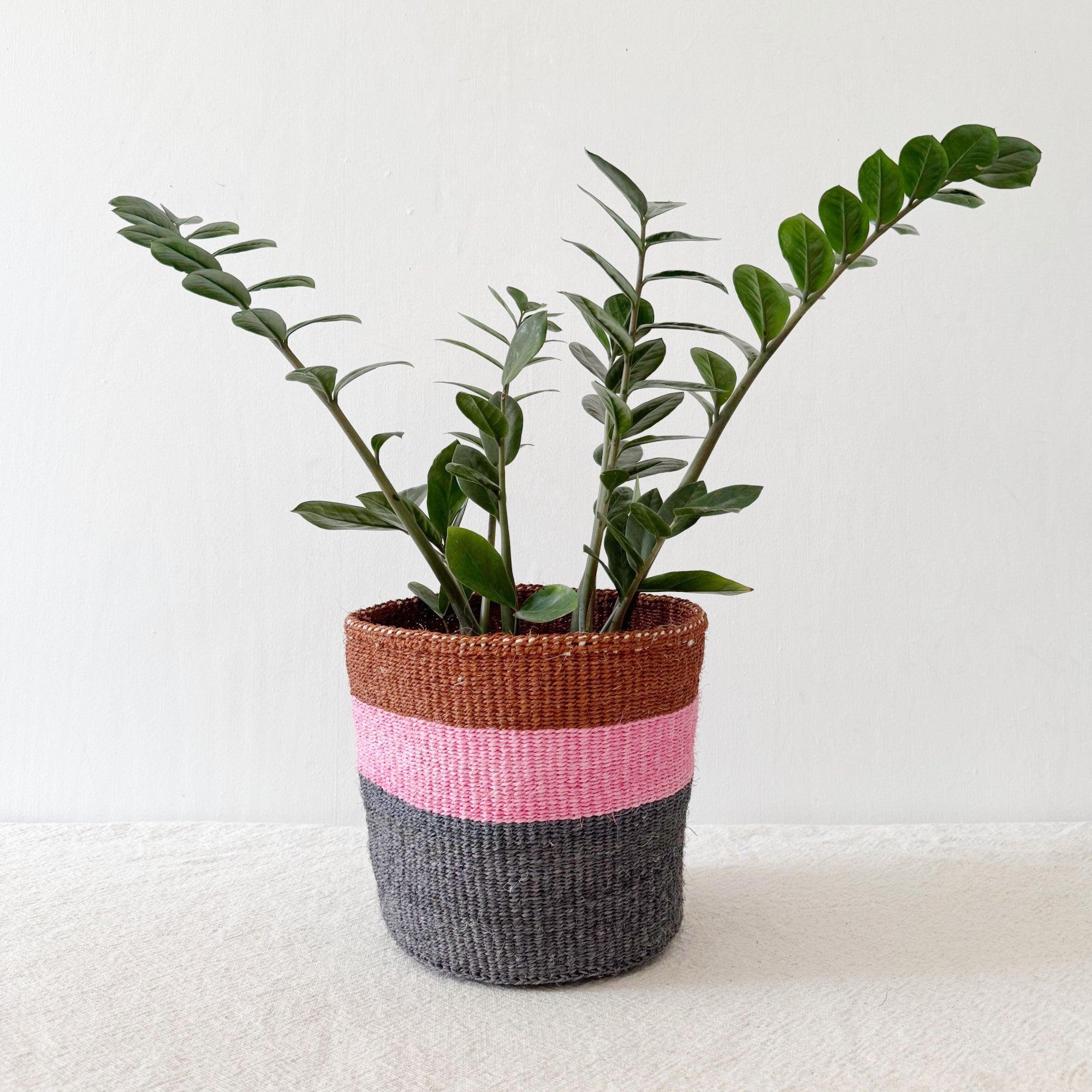 Storage Plant Basket: Appalachian