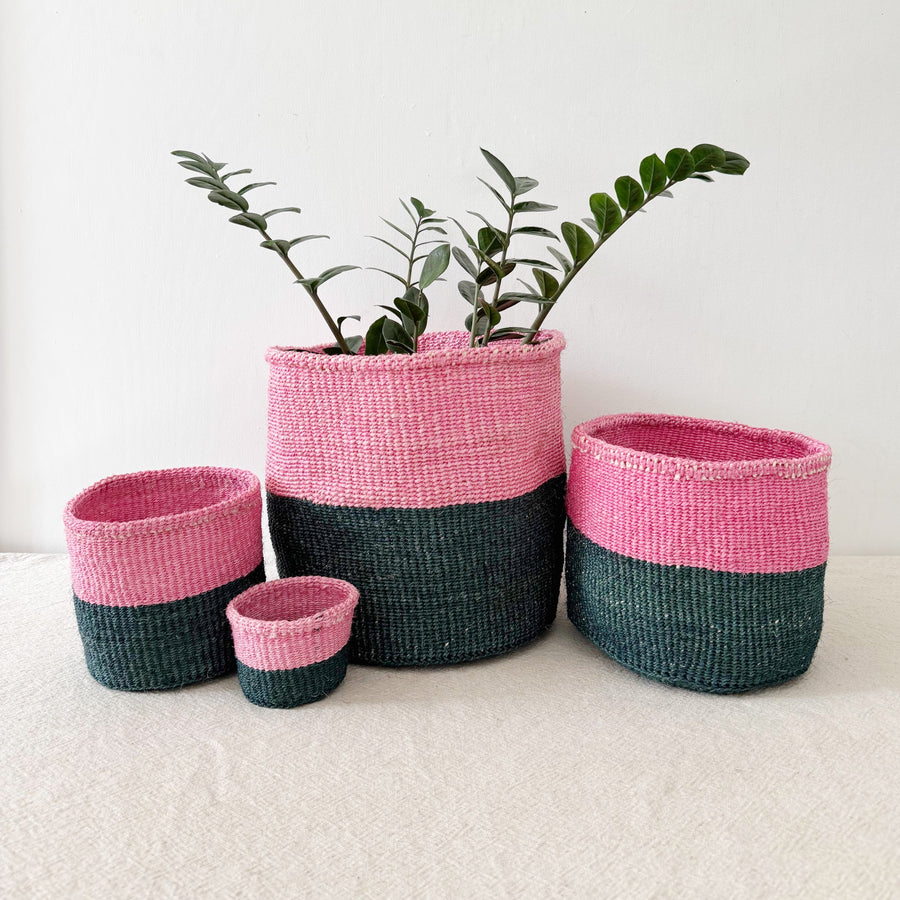 Storage Plant Basket: Catskill