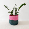 Storage Plant Basket: Catskill