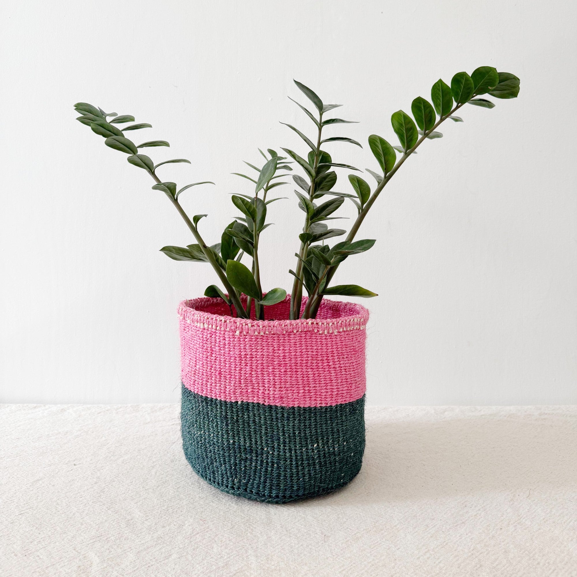 Storage Plant Basket: Catskill