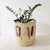 14.5" Turkana Palm Storage Basket #119