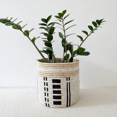 Storage Plant Basket: Busengo