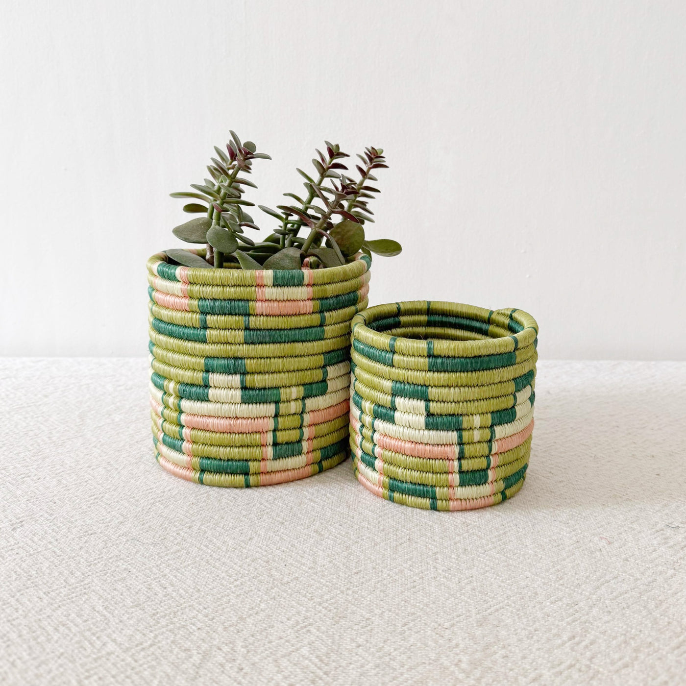 Storage Plant Basket: Gombe