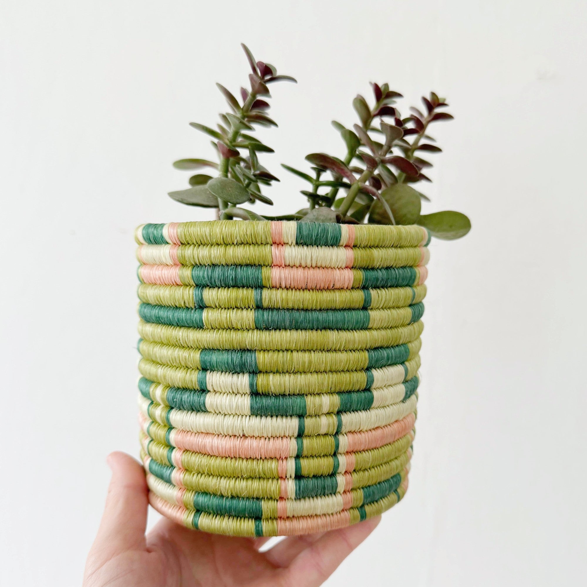 Storage Plant Basket: Gombe