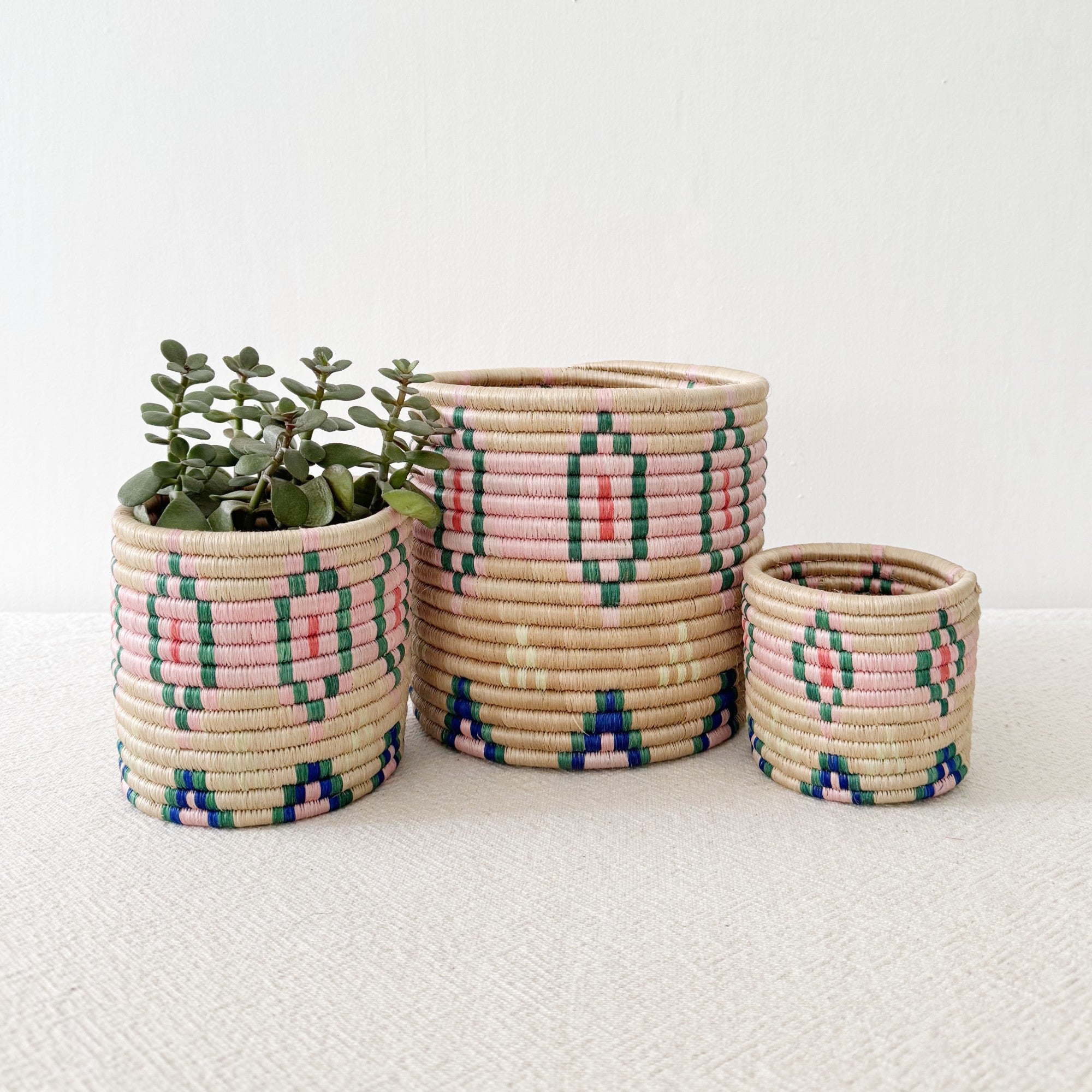 Storage Plant Basket: Bobala