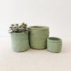 Storage Plant Basket: Pistachio
