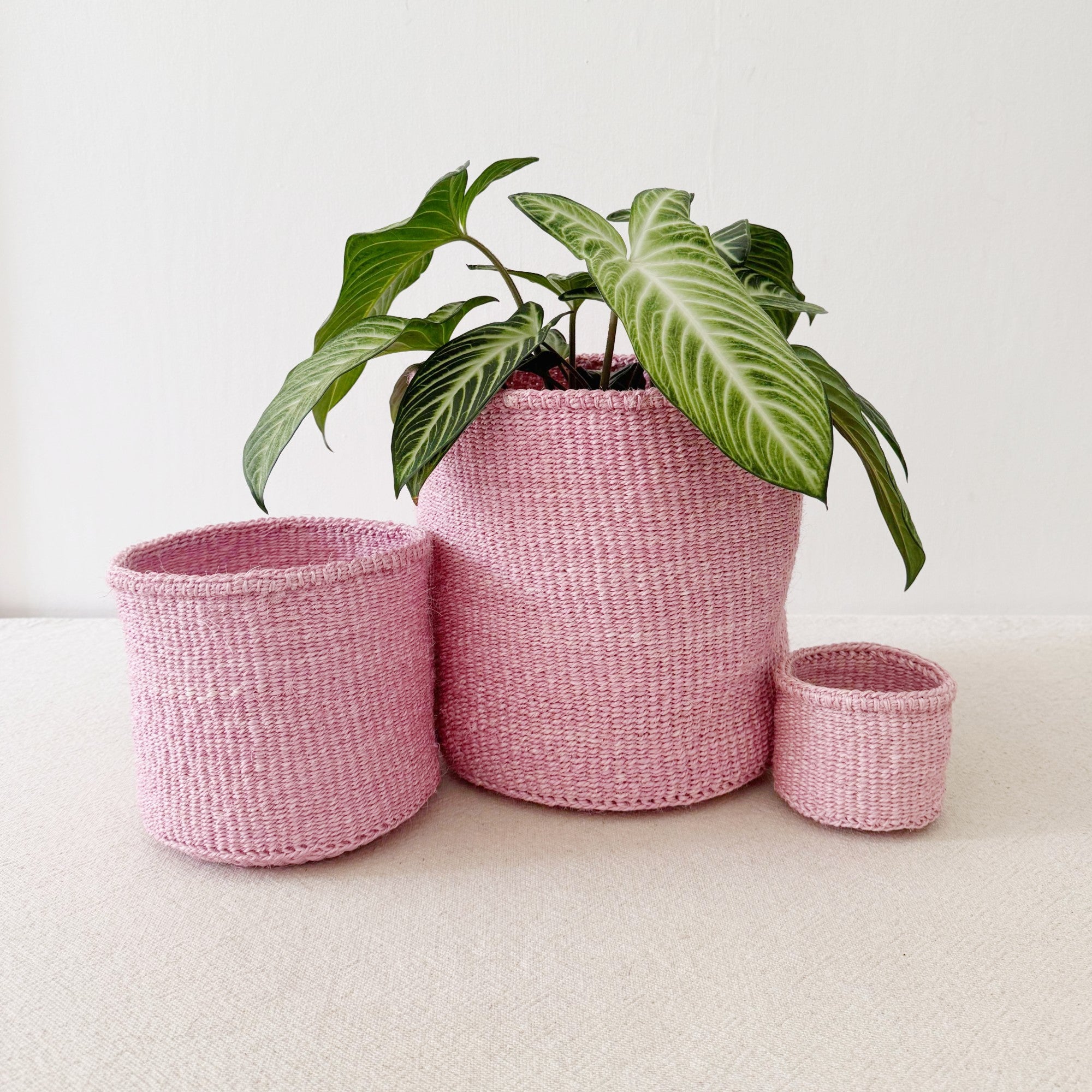 Storage Plant Basket: Lilac