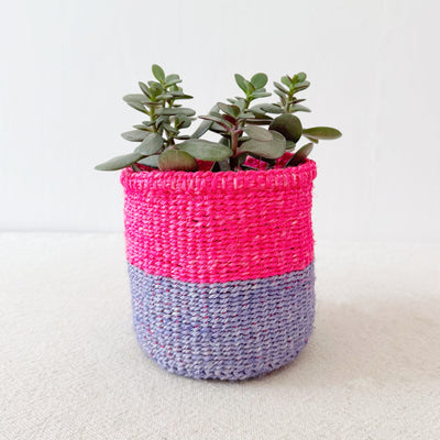 Storage Plant Basket: Cosmos