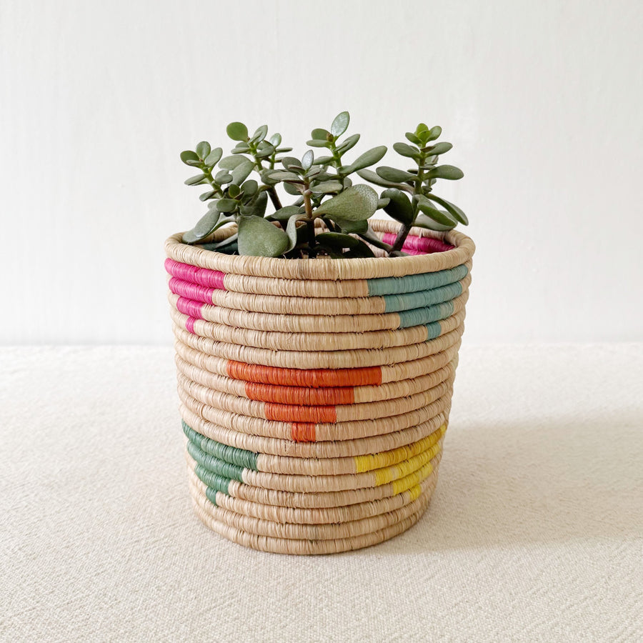 Storage Plant Basket: Mulenge