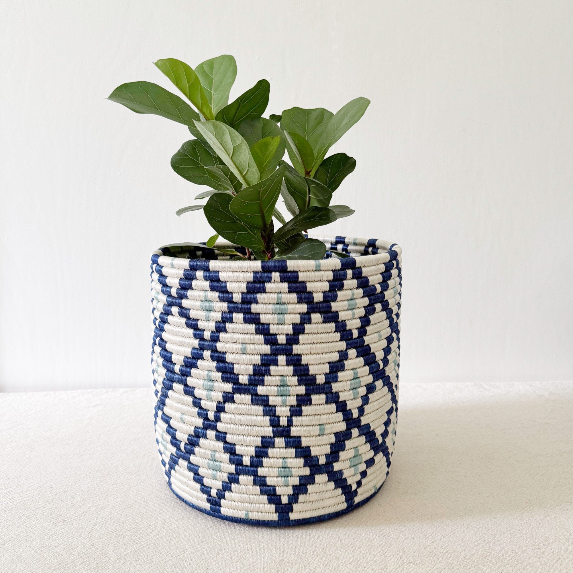 Storage Plant Basket: Musasa