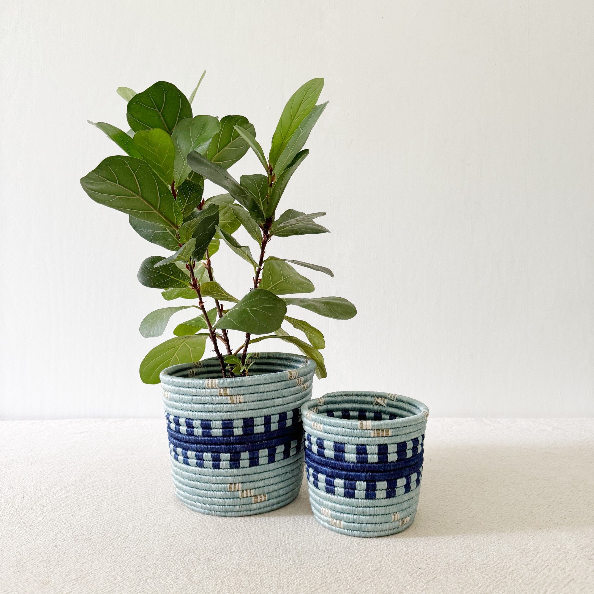 Storage Plant Baskets: Kinama