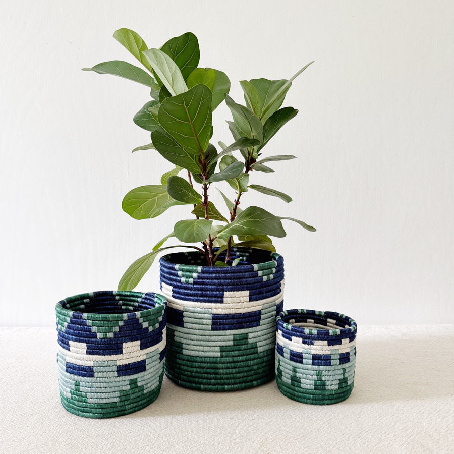 Storage Plant Basket: Mutala