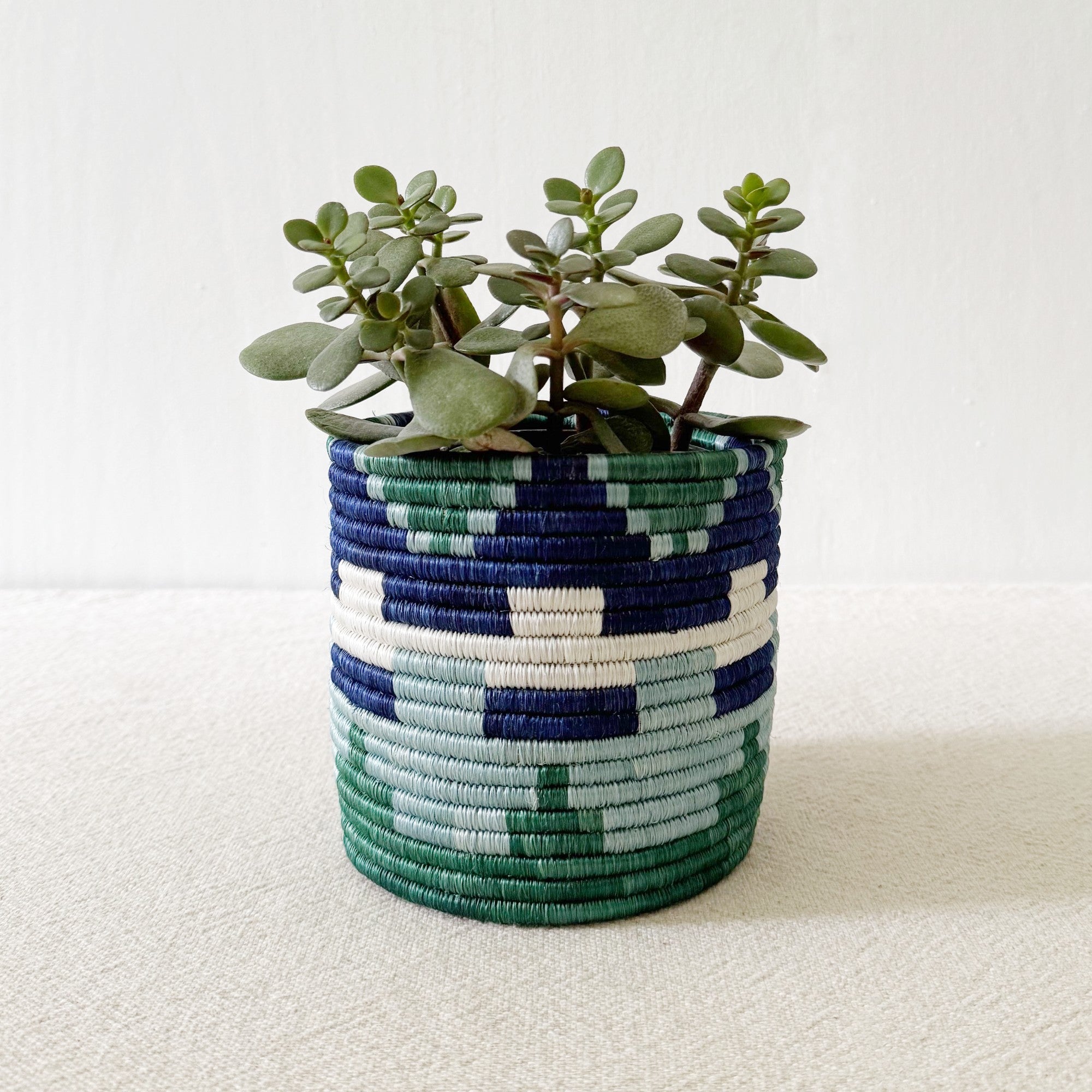 Storage Plant Basket: Mutala