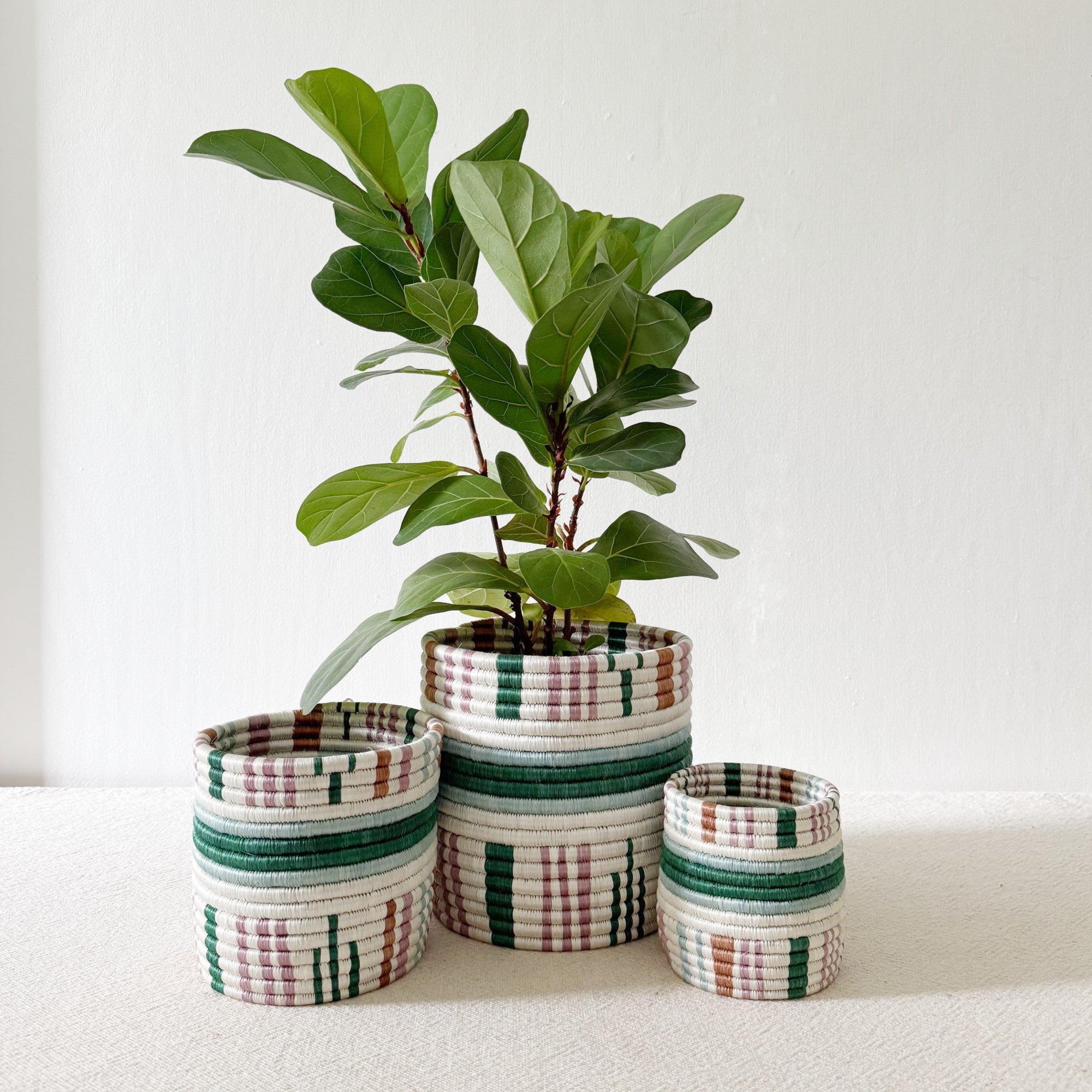 Storage Plant Basket: Kinonko