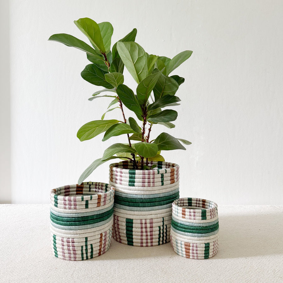 Storage Plant Basket: Kinonko - Amsha