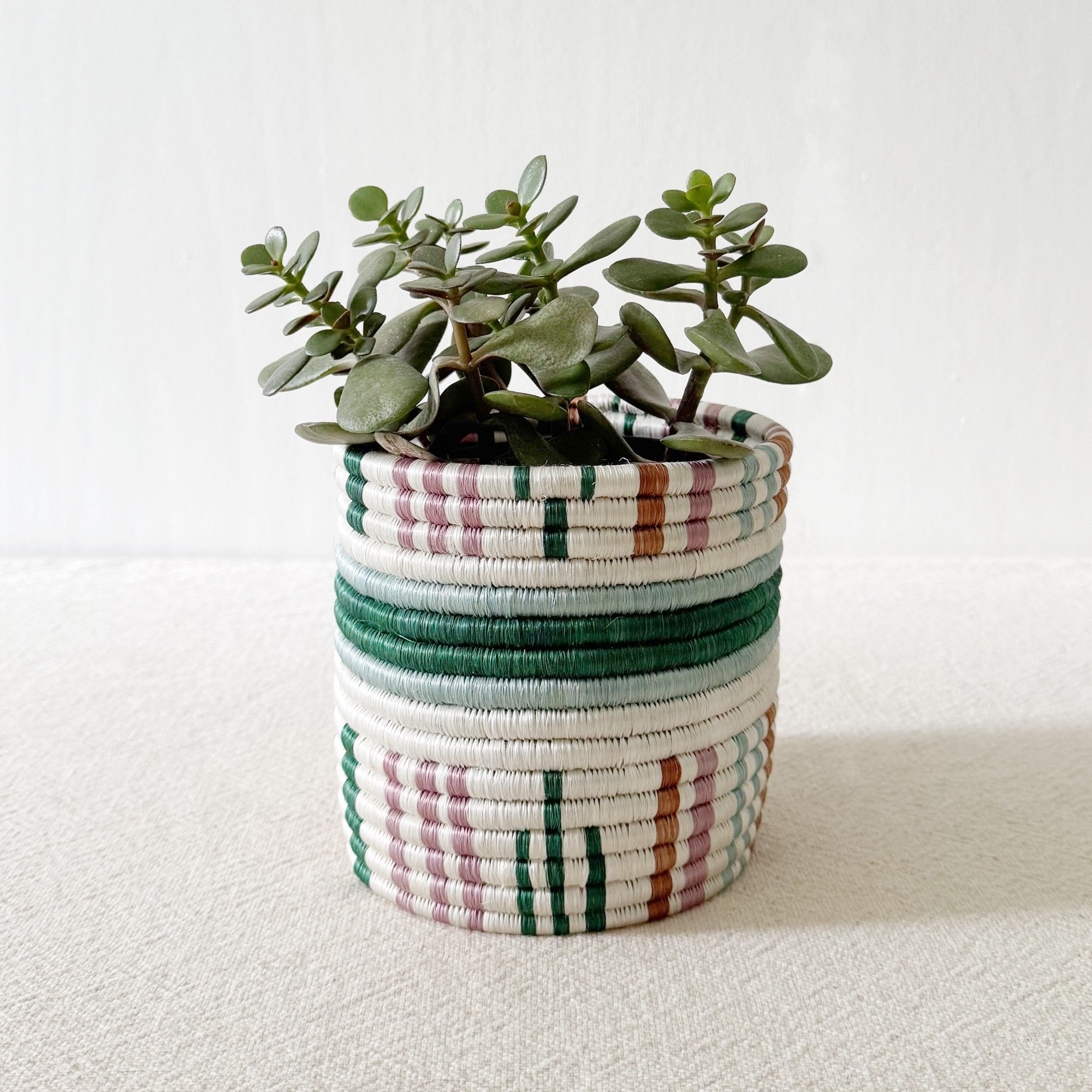 Storage Plant Basket: Kinonko