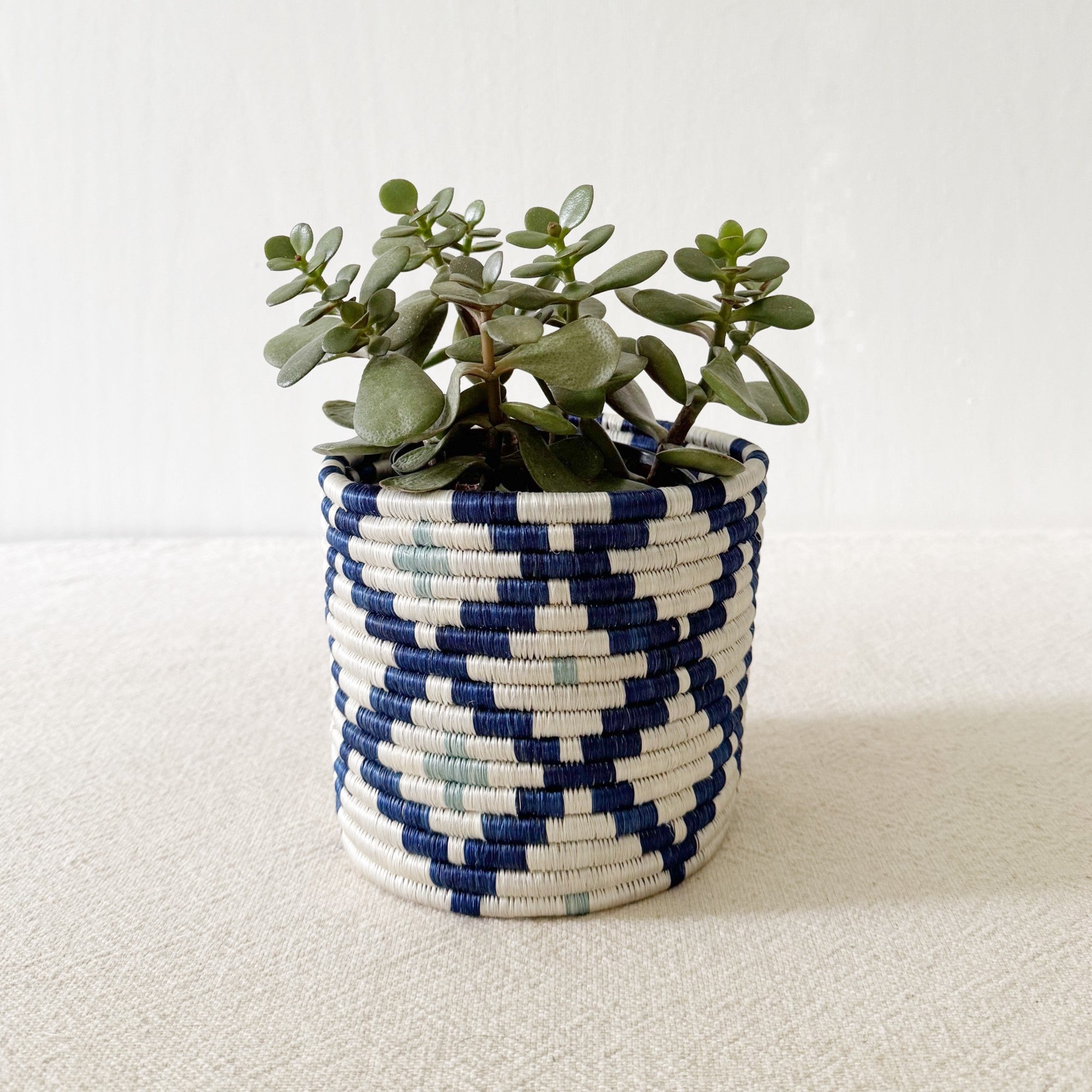 Storage Plant Basket: Musasa