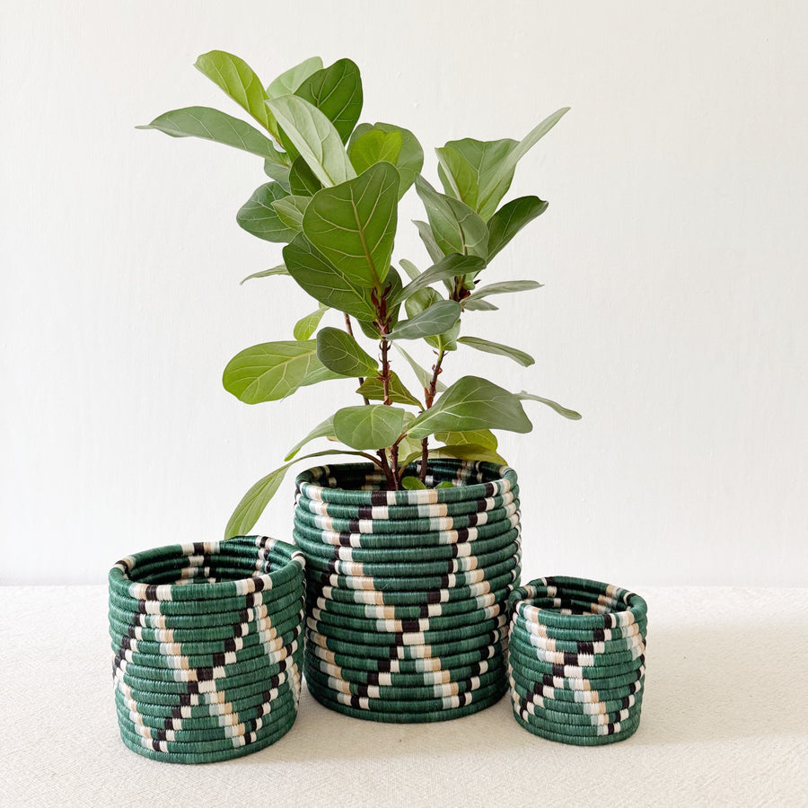 Storage Plant Basket: Kasuga - Amsha
