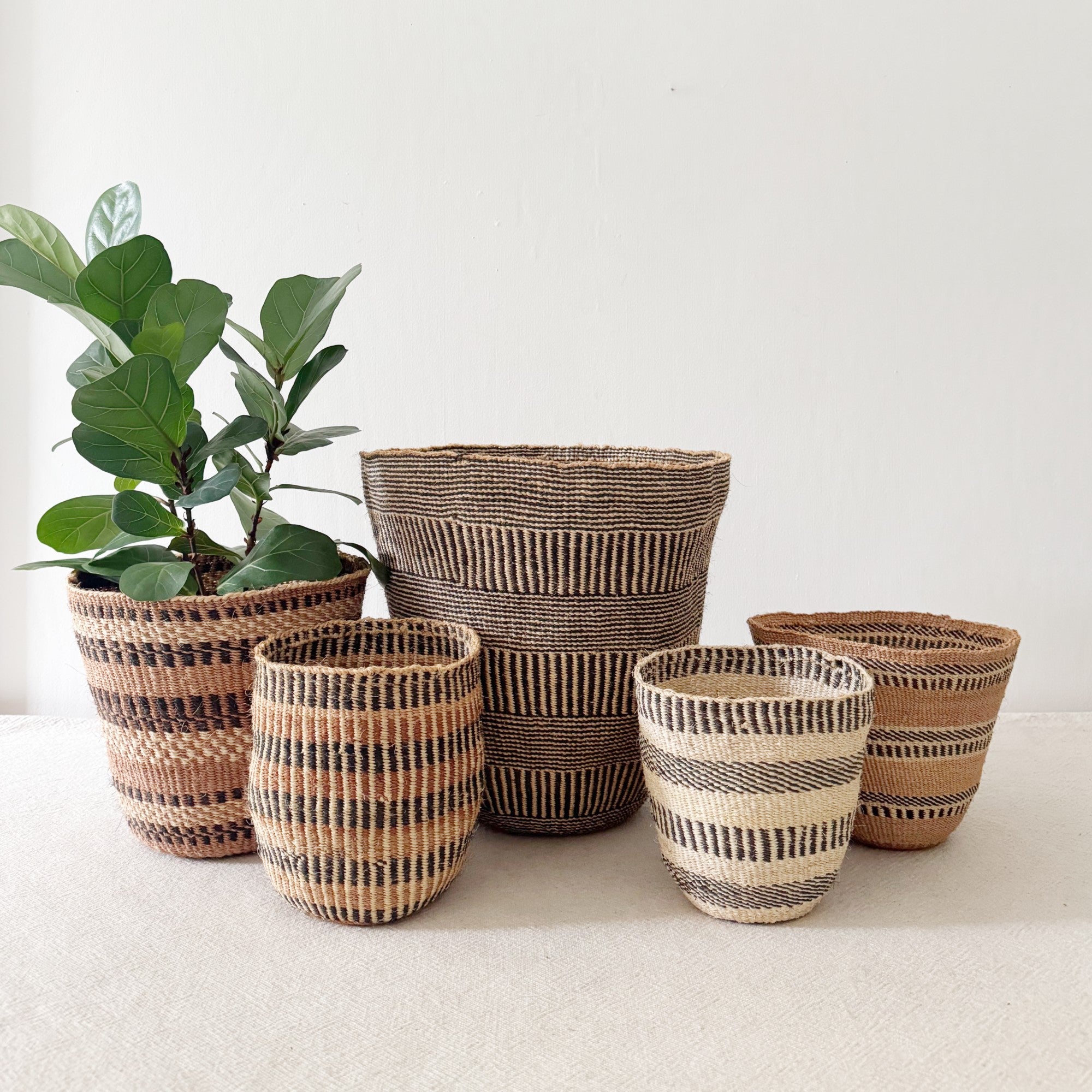 Storage Basket Assortment 843