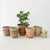 Storage Basket Assortment 847