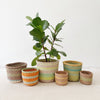 Storage Basket Assortment 848