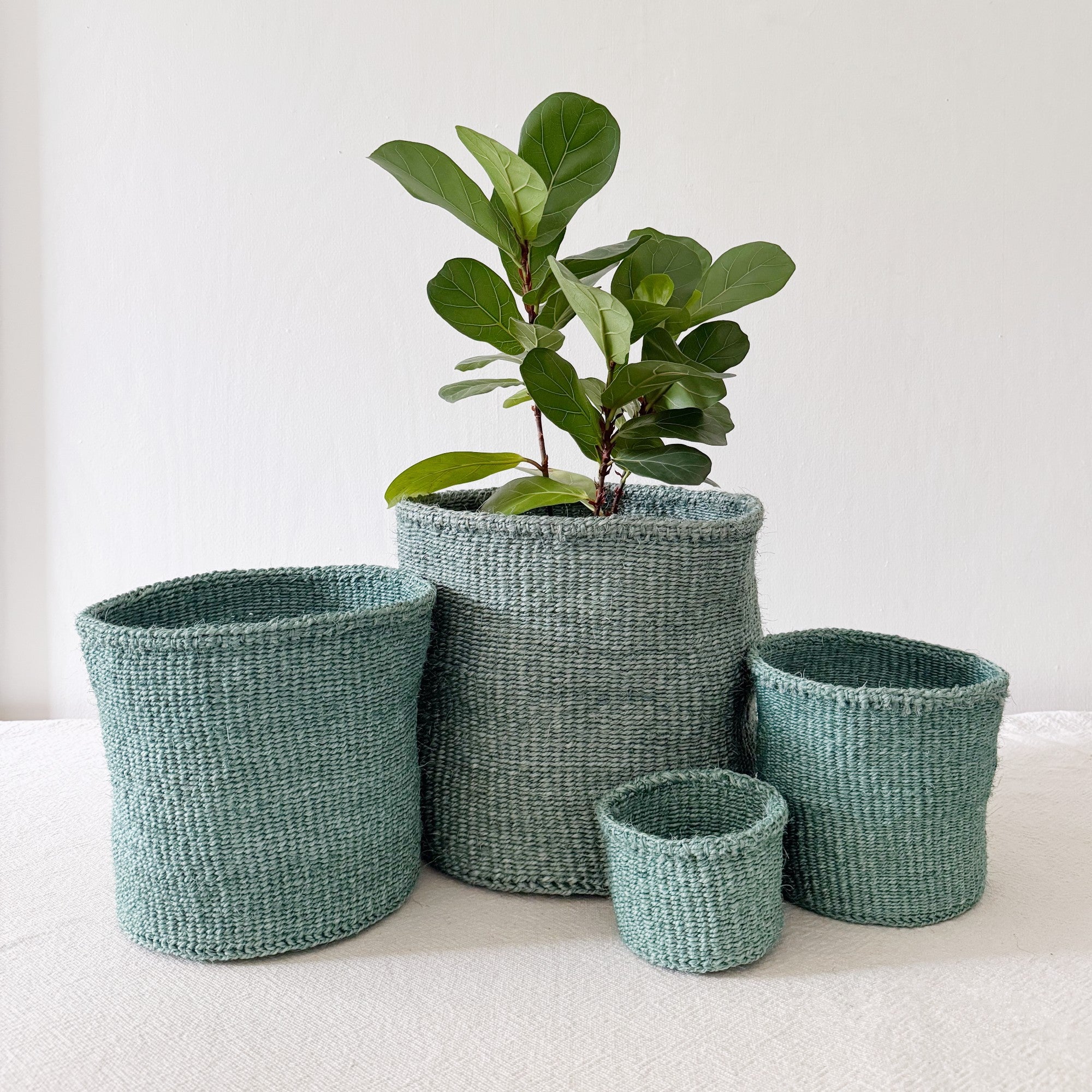 Storage Plant Basket: Eucalyptus
