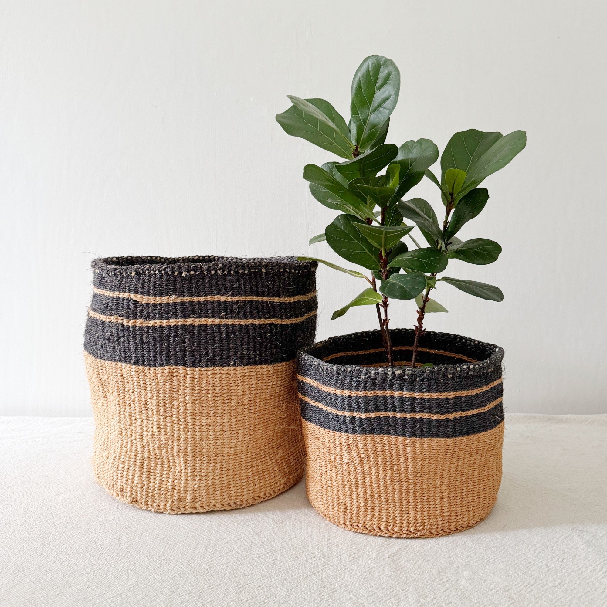 Storage Plant Basket: Twilight