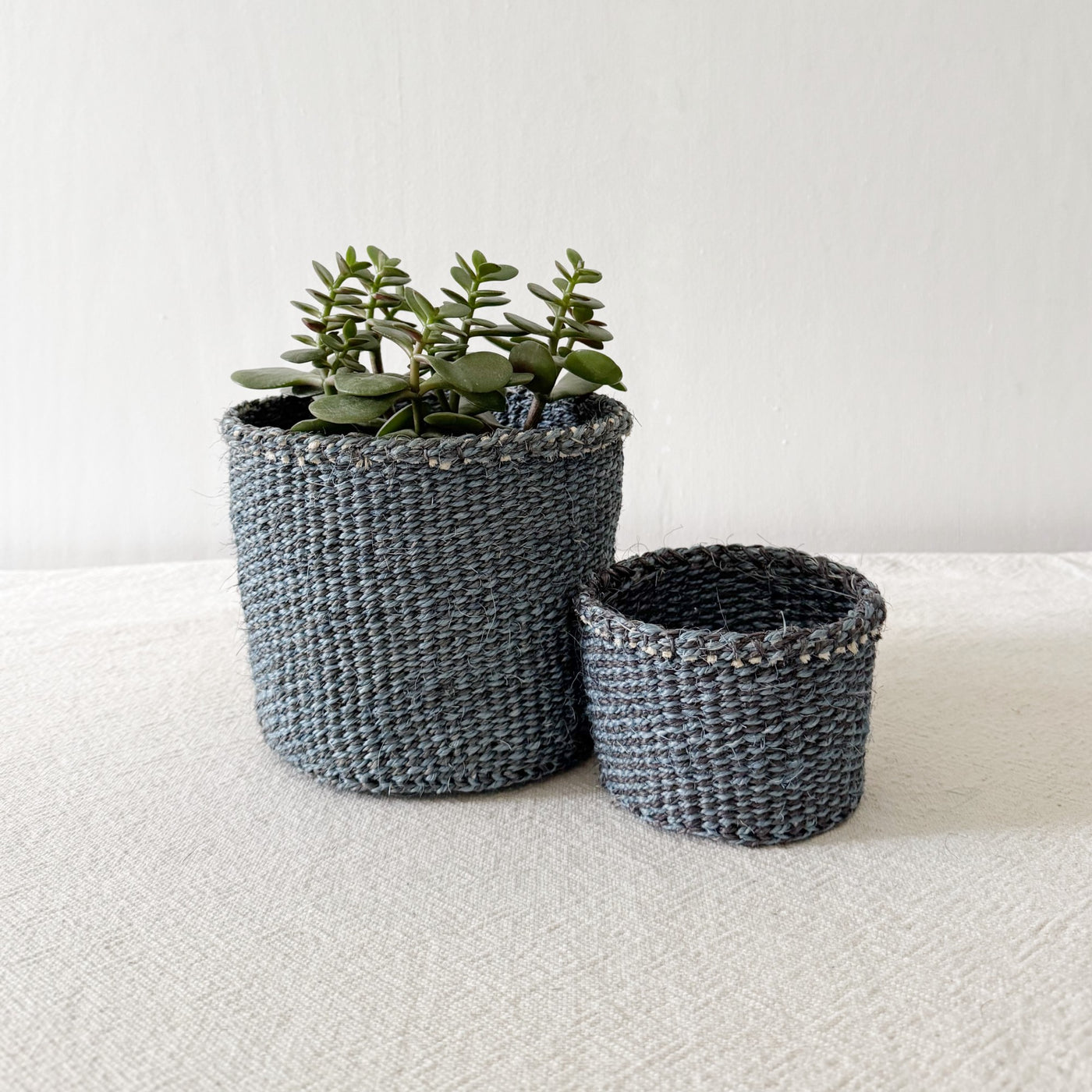 Storage Plant Basket: Blue Checker