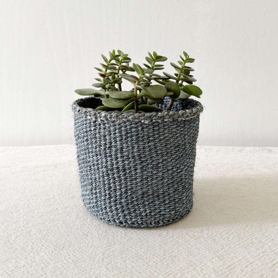 Storage Plant Basket: Blue Checker