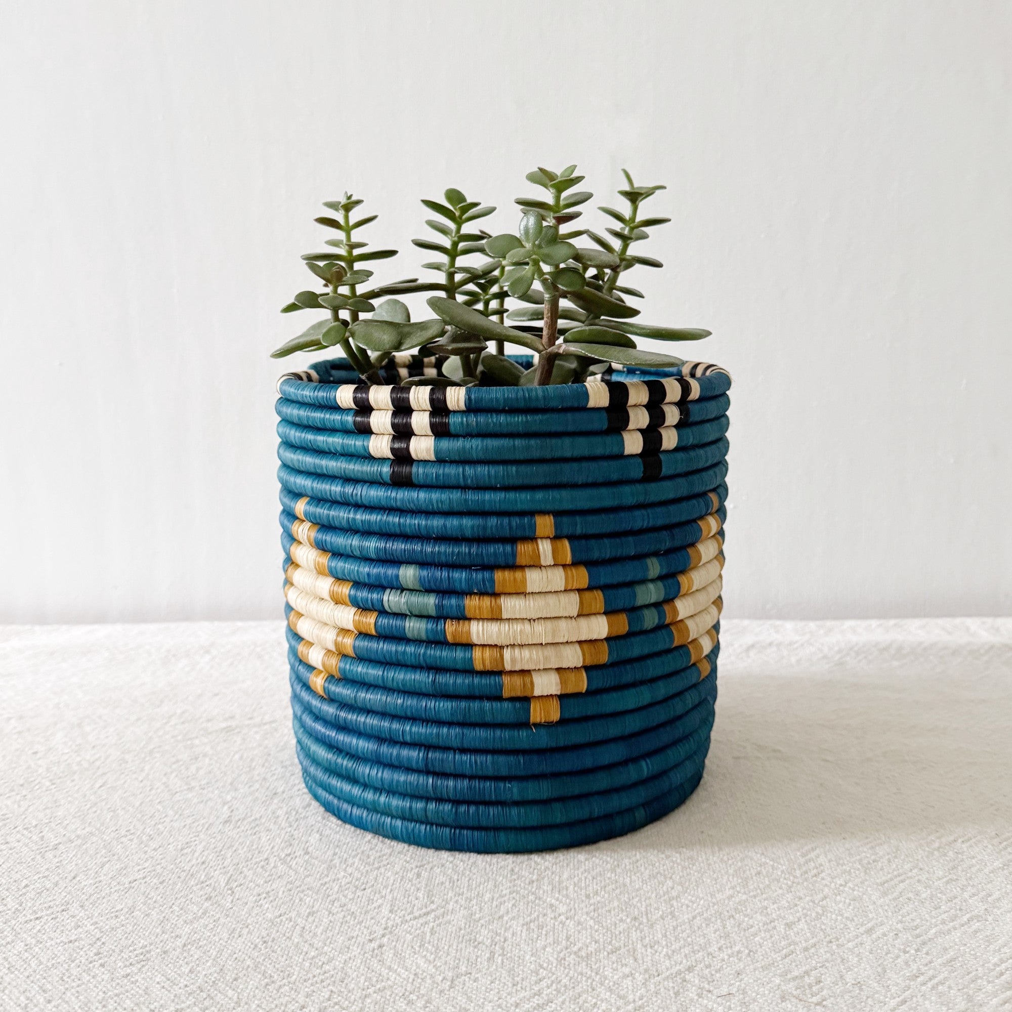 Shungo Planter Baskets