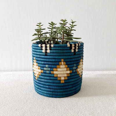 Shungo Planter Baskets