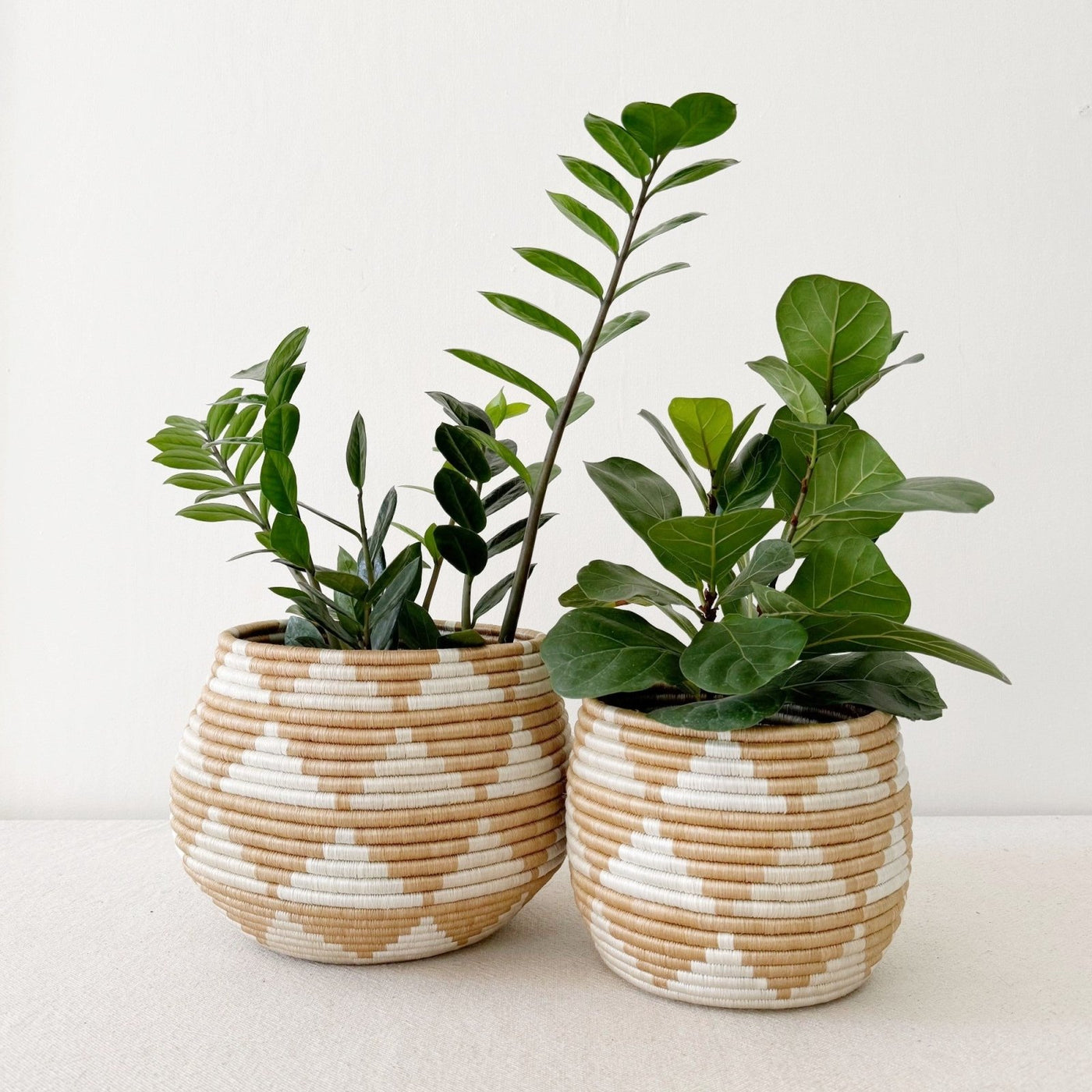 Honey Pot Basket: Akazi