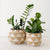 Honey Pot Basket: Akazi