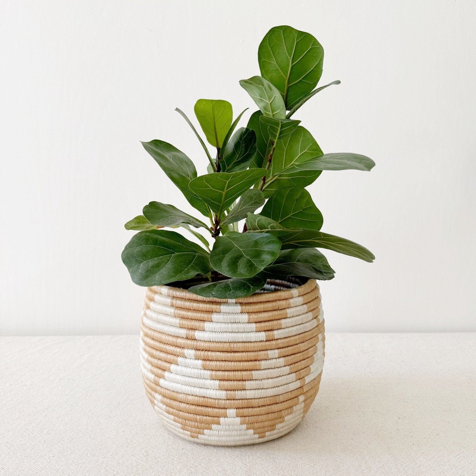 Honey Pot Basket: Akazi - Amsha