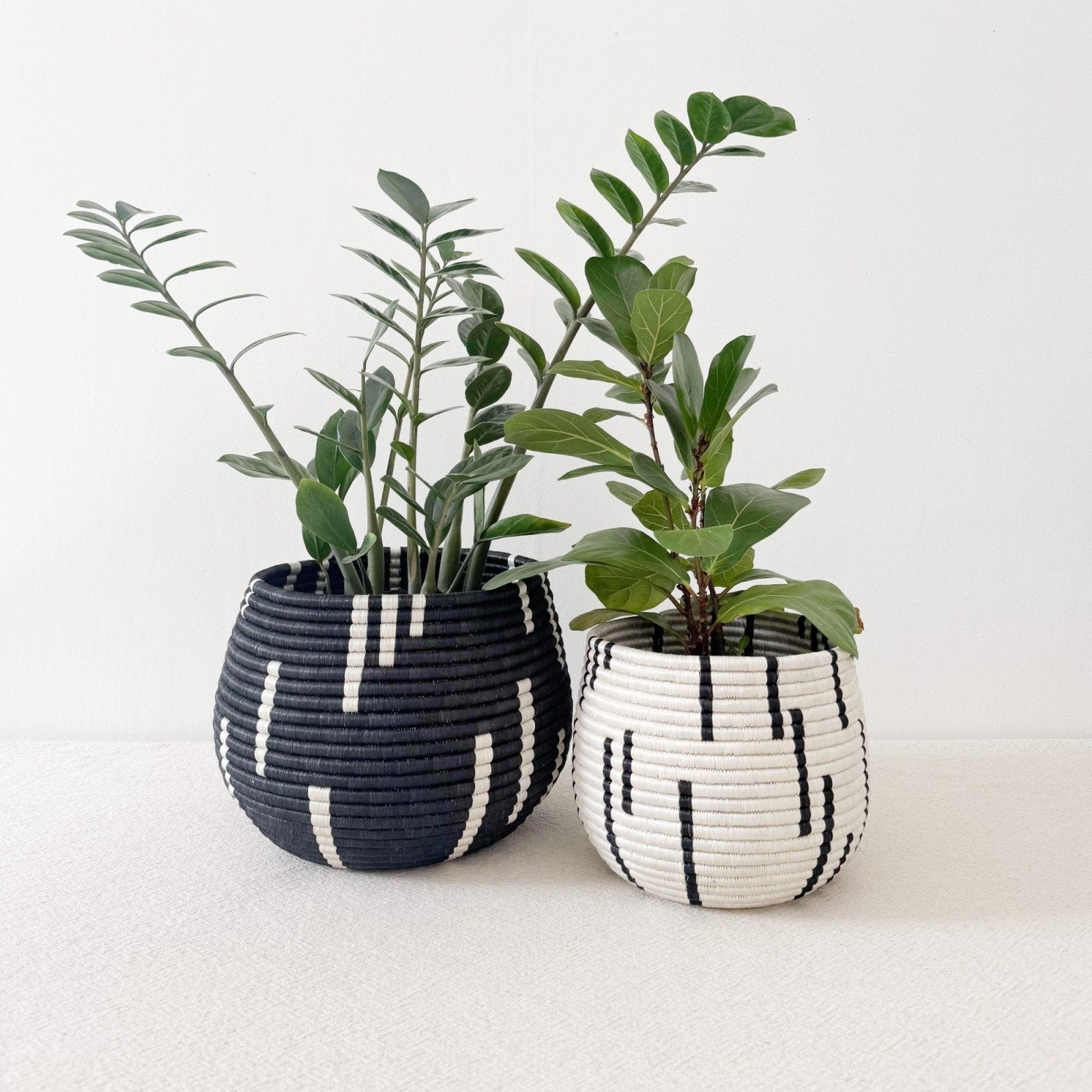 honey pot plant pot Honey Pot Basket: Mugano